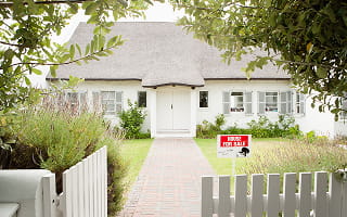 Looking for Yard Signs