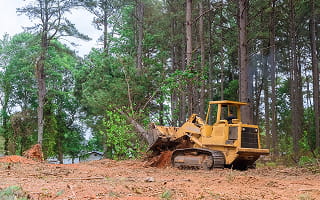 Types of Easements in Practice